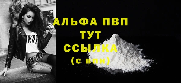 соль ск Новодвинск