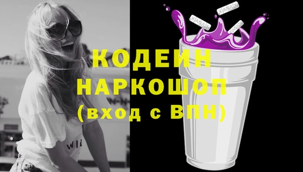 соль ск Новодвинск