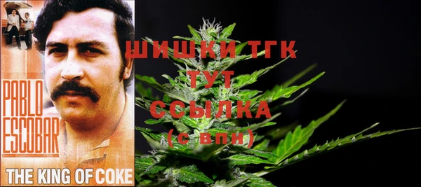 соль ск Новодвинск