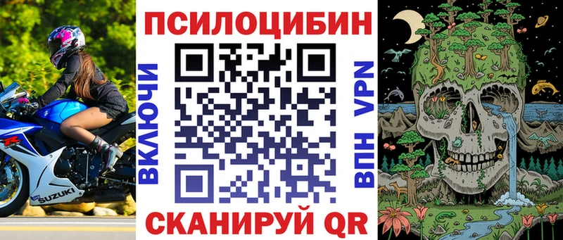 Галлюциногенные грибы Magic Shrooms Елизаветинская