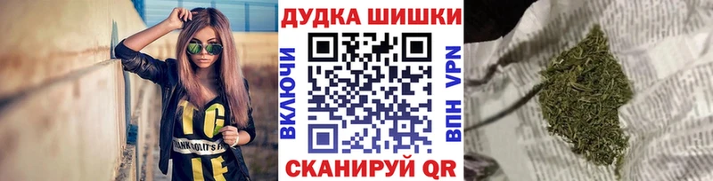 Бошки марихуана Amnesia  Елизаветинская 